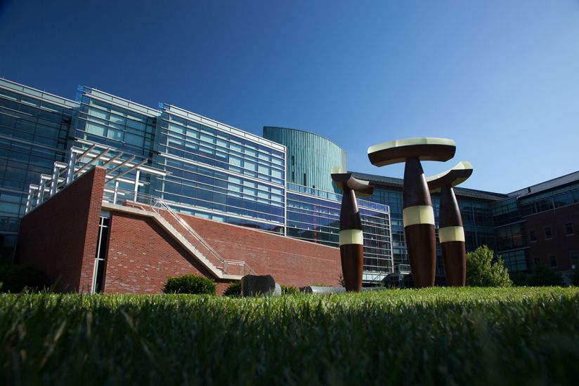 university of illinois ms cs